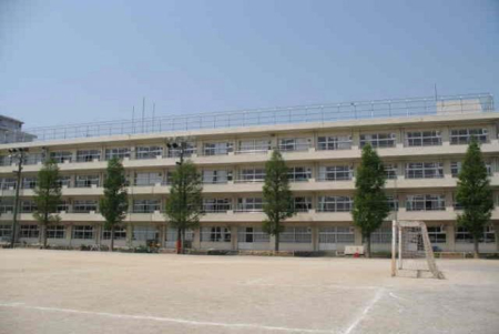 tssF3ڂ̐VzˌĂ̎ӊ