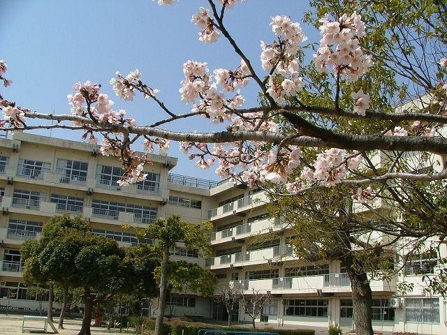 ��t�����ˎs�a���P�J �̒��Ã}���V�����̎��ӊ�