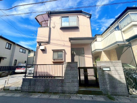 tDsČ2ڂ̓yňnynʐ^