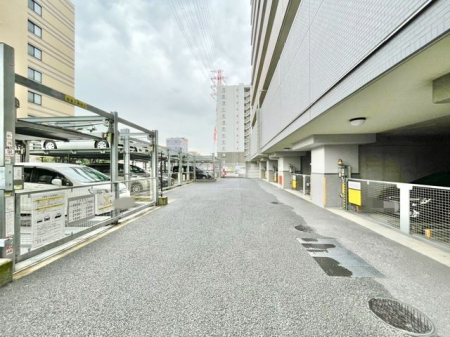 tDsR쒬 ̒Ã}V̌nOώʐ^