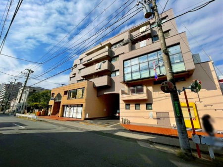 tDs{R4ڂ̒Ã}V̌nOώʐ^