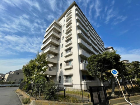 tDsC_1ڂ̒Ã}V̌nOώʐ^