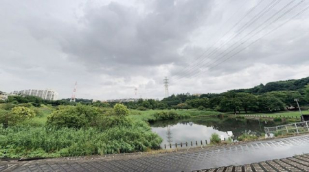 tDs1ڂ̐VzˌĂ̎ӊ