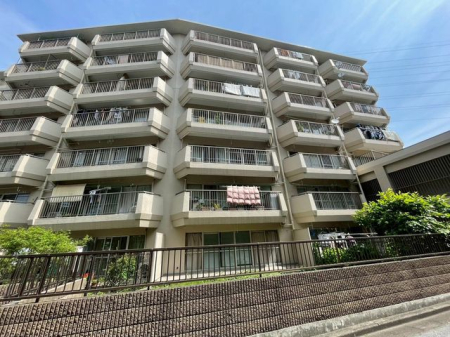 tDs{7ڂ̒Ã}V̌nOώʐ^