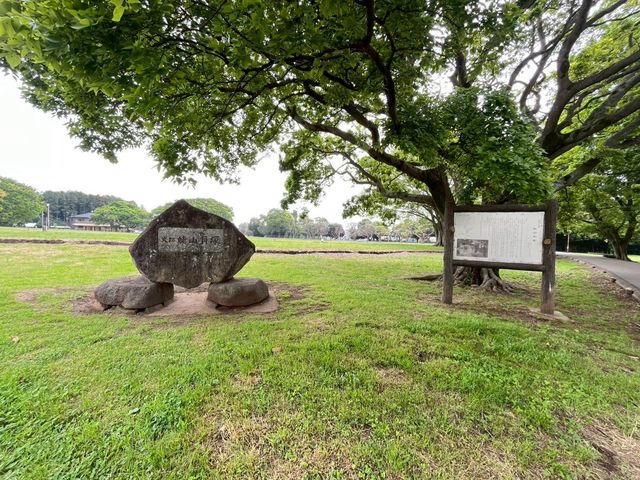 tss䒬2ڂ̐VzˌĂ̎ӊ