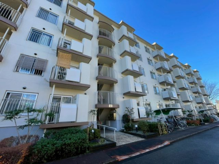 ��t���D���s���D2���ڂ̒��Ã}���V�����̌��n�O�ώʐ^