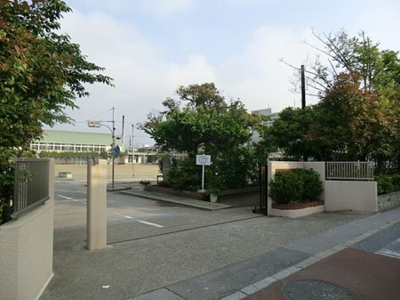 tDs{R6ڂ̒Ã}V̎ӊ