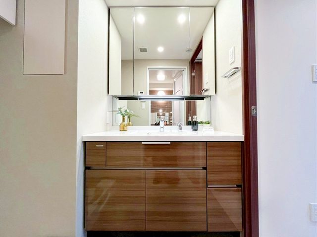 tDs{R6ڂ̒Ã}V̐ʑEʏ