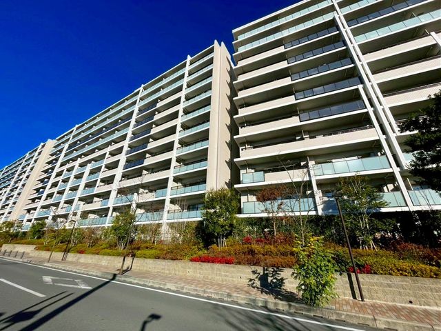 tDssc1ڂ̒Ã}V̌nOώʐ^