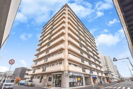 tDsC_1ڂ̒Ã}V̌nOώʐ^