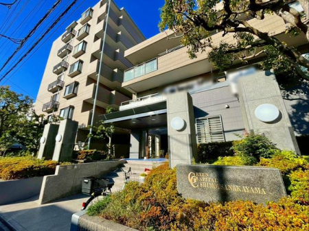 ��t���D���s��q�� �̒��Ã}���V�����̂��̑�