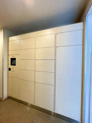 ��t���D���s��q�� �̒��Ã}���V�����̂��̑�