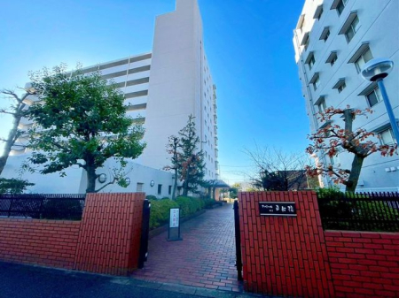 ��t���D���s�R�쒬 �̒��Ã}���V�����̂��̑�