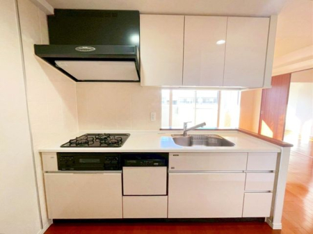 ��t���s��s��1���ڂ̒��Ã}���V�����̃L�b�`��