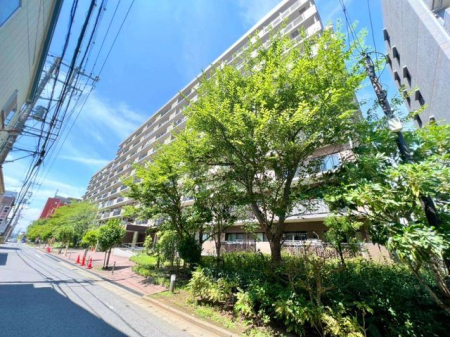 ��t���s��s�c�K3���ڂ̒��Ã}���V�����̌��n�O�ώʐ^