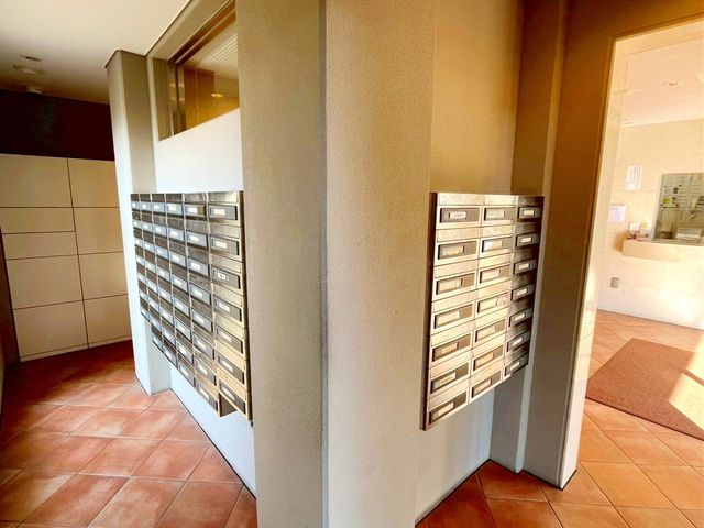 ��t���D���s�{���R6���ڂ̒��Ã}���V�����̂��̑�