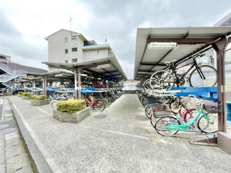 ��t���s��s���c3���ڂ̒��Ã}���V�����̂��̑�