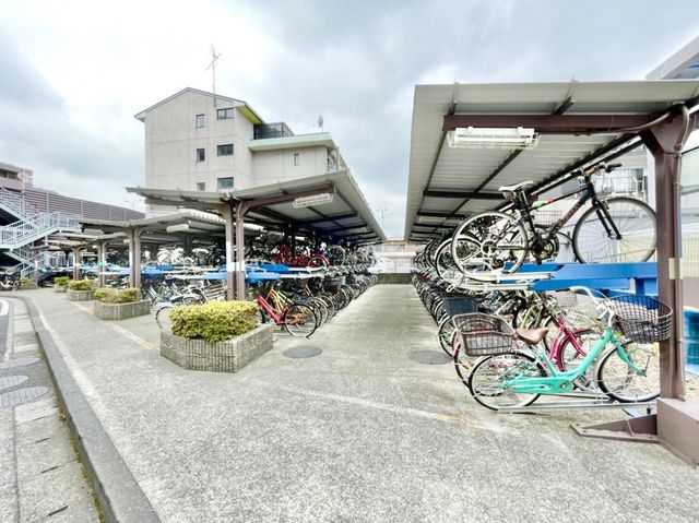 ��t���s��s���c3���ڂ̒��Ã}���V�����̂��̑�