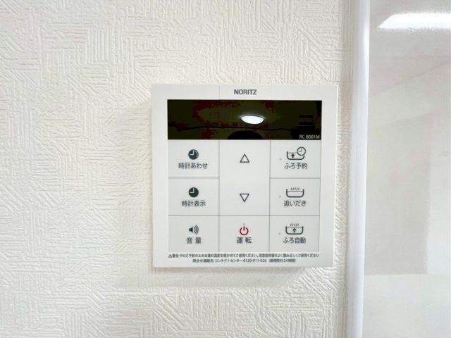 ��t���D���s�O�L�˒� �̒��È�ˌ��Ă̌��n�O�ώʐ^