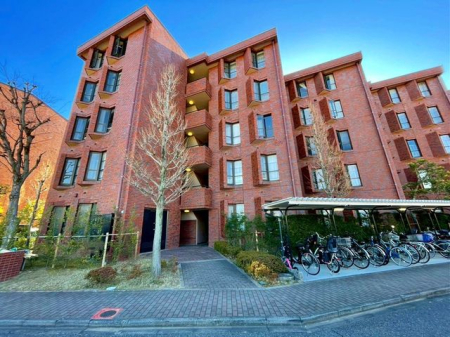 ��t���D���s���1���ڂ̒��Ã}���V�����̌��n�O�ώʐ^