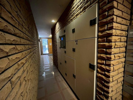 ��t���D���s�����R2���ڂ̒��Ã}���V�����̂��̑�