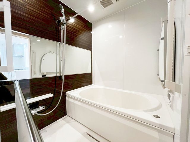 ��t���D���s�C�_����1���ڂ̒��Ã}���V�����̗���