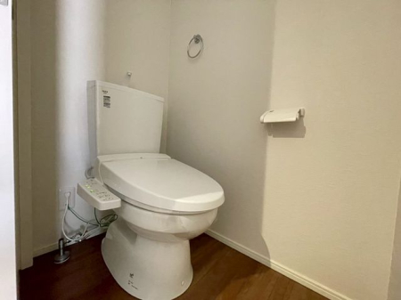 ��t���D���s��{�� �̐V�z��ˌ��Ẵg�C��