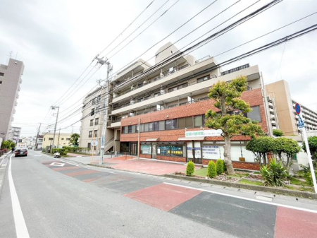 ��t���D���s�{���R4���ڂ̒��Ã}���V�����̌��n�O�ώʐ^