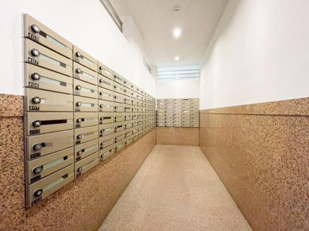 ��t���s��s����3���ڂ̒��Ã}���V�����̂��̑�