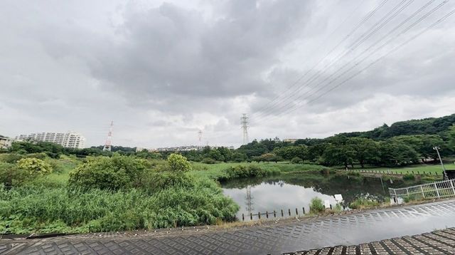 ��t���D���s�Č���1���ڂ̒��Ã}���V�����̎��ӊ�