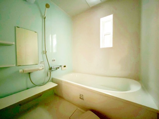 ��t�����P�J�s�n���� �̒��È�ˌ��Ă̗���