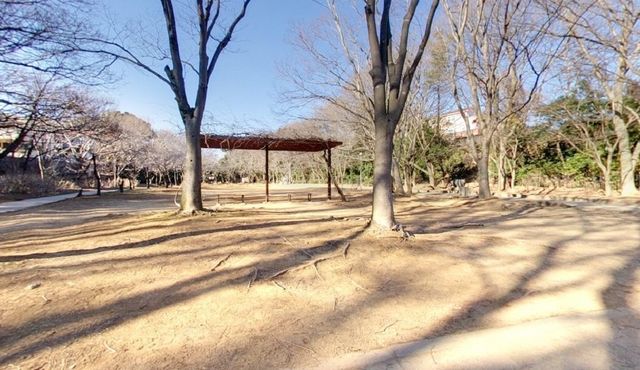 ��t�����P�J�s�k����2���ڂ̐V�z��ˌ��Ă̎��ӊ�