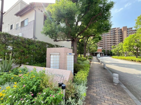 ��t���s��s�S��4���ڂ̒��Ã}���V�����̂��̑�