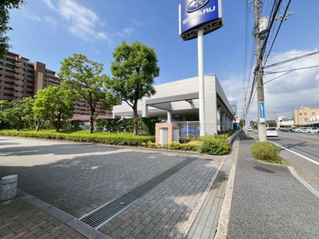 ��t���s��s�S��4���ڂ̒��Ã}���V�����̂��̑�