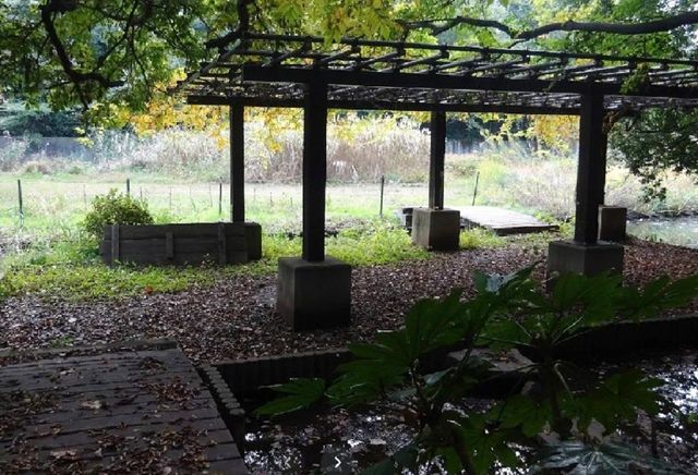 ��t���D���s�ێR2���ڂ̒��È�ˌ��Ă̎��ӊ�