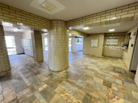 ��t���D���s����1���ڂ̒��Ã}���V�����̂��̑�