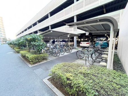 ��t���D���s�R��1���ڂ̒��Ã}���V�����̂��̑�