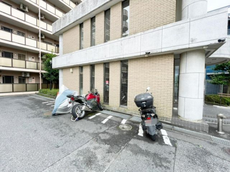 ��t���D���s�Í�3���ڂ̒��Ã}���V�����̂��̑�