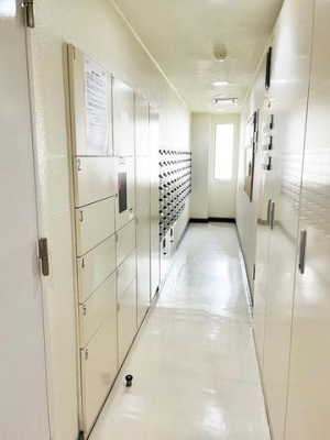 ��t���D���s���2���ڂ̒��Ã}���V�����̂��̑�