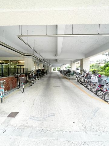 ��t���s��s�s���3���ڂ̒��Ã}���V�����̂��̑�