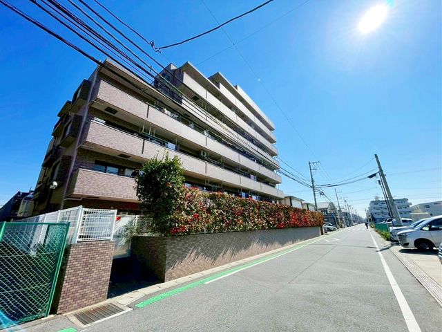 ��t���D���s��q�� �̒��Ã}���V�����̂��̑�