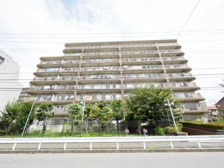 ��t���D���s�{���� �̒��Ã}���V�����̌��n�O�ώʐ^