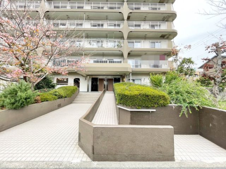 ��t���D���s�{���� �̒��Ã}���V�����̂��̑�