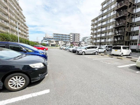 ��t���D���s�{���� �̒��Ã}���V�����̒��ԏ�