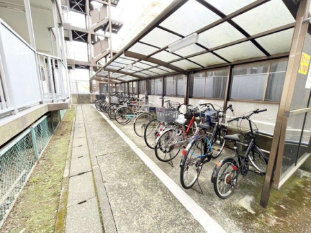 ��t���D���s�{���� �̒��Ã}���V�����̂��̑�