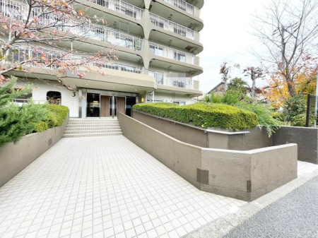 ��t���D���s�{���� �̒��Ã}���V�����̂��̑�