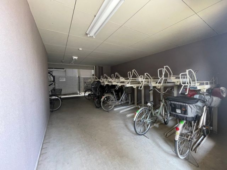 ��t���D���s�{��4���ڂ̒��Ã}���V�����̂��̑�