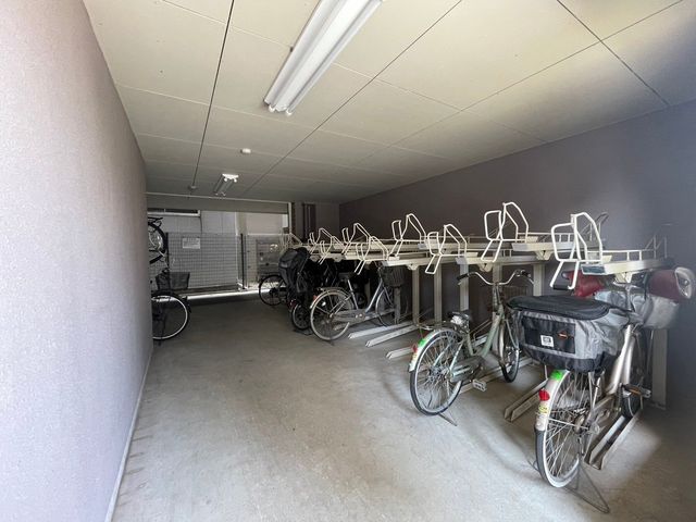 ��t���D���s�{��4���ڂ̒��Ã}���V�����̂��̑�