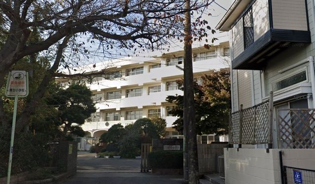 ��t���D���s���D��1���ڂ̓y�n�̎��ӊ�