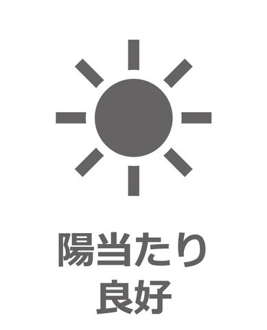 ��t�����ˎs��\���I���u���� �̒��Ã}���V�����̌��n�O�ώʐ^